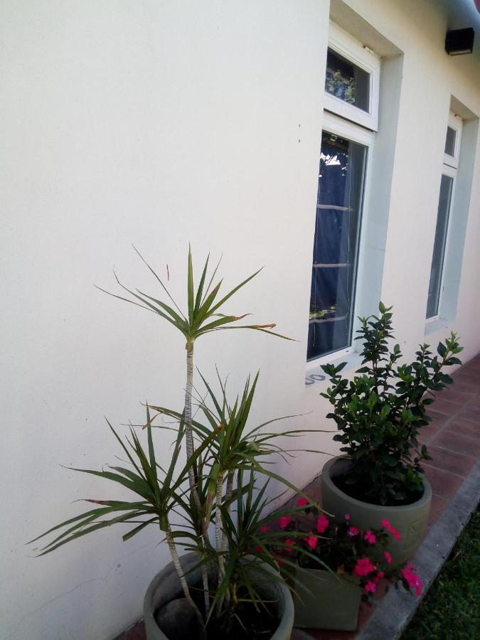 El Zohar 2 Pax Apartment Federación Exterior foto